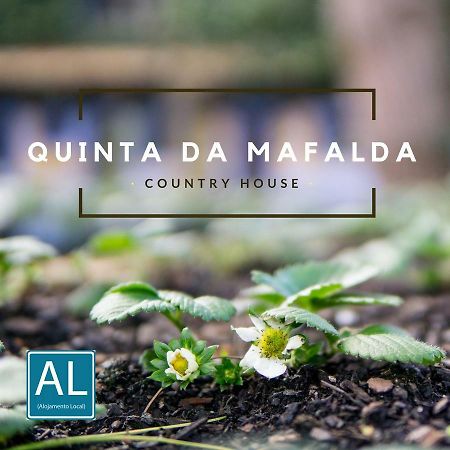 מירה Quinta Da Mafalda מראה חיצוני תמונה