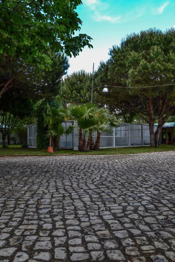 מירה Quinta Da Mafalda מראה חיצוני תמונה